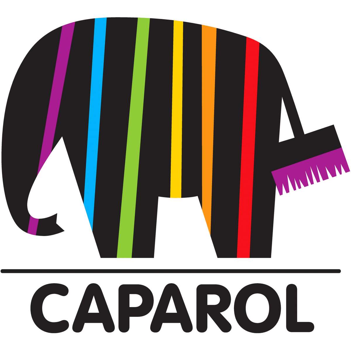 logo-caparol-quadratisch_600x600@2x.jpg